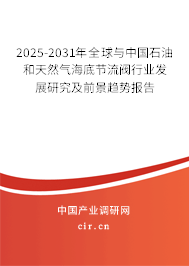 2025-2031年全球與中國石油和天然氣海底節流閥行業發展研究及前景趨勢報告