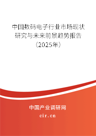 中國數(shù)碼電子行業(yè)市場現(xiàn)狀研究與未來前景趨勢報(bào)告（2025年）