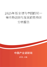 2025年版全球與中國四輪一帶市場調研與發展趨勢預測分析報告