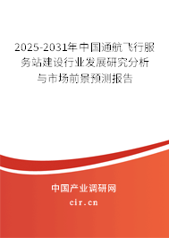2025-2031年中國通航飛行服務站建設行業發展研究分析與市場前景預測報告