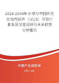 2024-2030年全球與中國外周血管內超聲（IVUS）導管行業發展深度調研與未來趨勢分析報告