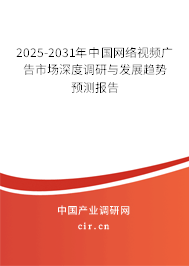 2025-2031年中國網絡視頻廣告市場深度調研與發展趨勢預測報告