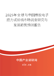 2025年全球與中國橡膠電子拉力試驗機市場調查研究與發展趨勢預測報告