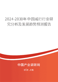 2023-2029年中國威行行業研究分析及發展趨勢預測報告