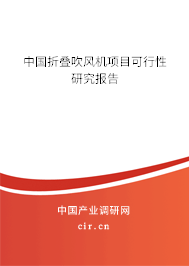 中國折疊吹風(fēng)機項目可行性研究報告