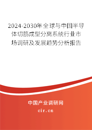 2024-2030年全球與中國半導體切筋成型分離系統行業市場調研及發展趨勢分析報告