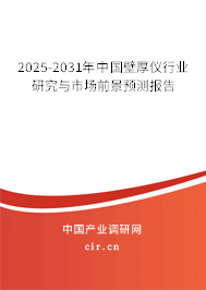 2025-2031年中國壁厚儀行業研究與市場前景預測報告