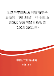 全球與中國場發射掃描電子顯微鏡（FE-SEM）行業市場調研及發展前景分析報告（2025-2031年）