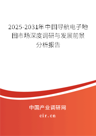 2025-2031年中國導航電子地圖市場深度調研與發展前景分析報告