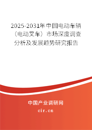 2025-2031年中國(guó)電動(dòng)車輛（電動(dòng)叉車）市場(chǎng)深度調(diào)查分析及發(fā)展趨勢(shì)研究報(bào)告