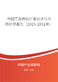 中國丁基橡膠行業現狀與市場前景報告（2025-2031年）