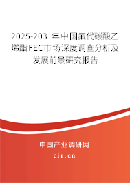 2025-2031年中國氟代碳酸乙烯酯FEC市場深度調(diào)查分析及發(fā)展前景研究報告