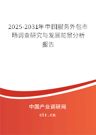 2025-2031年中國服務外包市場調查研究與發展前景分析報告