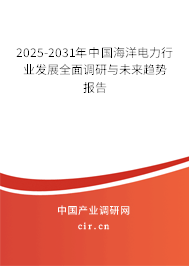2025-2031年中國海洋電力行業發展全面調研與未來趨勢報告