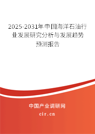 2025-2031年中國海洋石油行業發展研究分析與發展趨勢預測報告