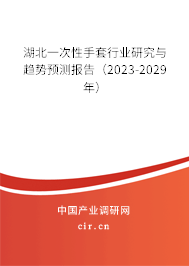 湖北一次性手套行業研究與趨勢預測報告（2023-2029年）