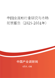 中國金屬粉行業研究與市場前景報告（2025-2031年）