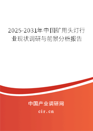 2025-2031年中國礦用頭燈行業現狀調研與前景分析報告