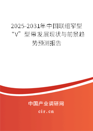 2025-2031年中國聯組窄型“V”型帶發展現狀與前景趨勢預測報告