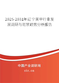 2025-2031年遼寧美甲行業發展調研與前景趨勢分析報告