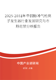 2025-2031年中國脈沖氣槍離子發生器行業發展研究與市場前景分析報告