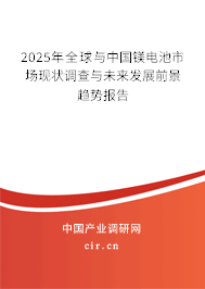 2025年全球與中國鎂電池市場現狀調查與未來發展前景趨勢報告