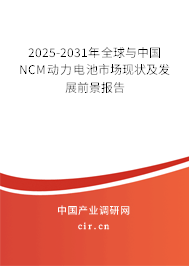 2025-2031年全球與中國NCM動力電池市場現狀及發展前景報告