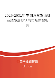 2025-2031年中國汽車發動機系統發展現狀與市場前景報告