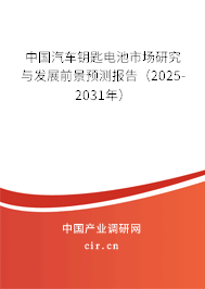 中國汽車鑰匙電池市場研究與發展前景預測報告（2025-2031年）
