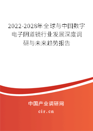 2022-2028年全球與中國數字電子陰道鏡行業發展深度調研與未來趨勢報告