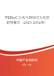 中國SoC芯片市場研究與前景趨勢報告（2025-2031年）