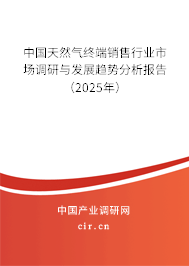中國(guó)天然氣終端銷(xiāo)售行業(yè)市場(chǎng)調(diào)研與發(fā)展趨勢(shì)分析報(bào)告（2025年）