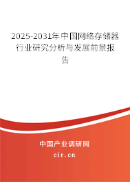 2025-2031年中國網絡存儲器行業研究分析與發展前景報告