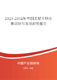 2025-2031年中國衛星市場全面調研與發展趨勢報告