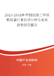 2025-2031年中國鹽酸二甲雙胍膠囊行業現狀分析與發展趨勢研究報告