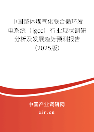 中國整體煤氣化聯(lián)合循環(huán)發(fā)電系統(tǒng)（igcc）行業(yè)現(xiàn)狀調(diào)研分析及發(fā)展趨勢預(yù)測報(bào)告（2025版）