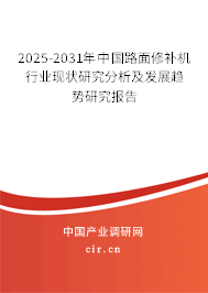 2025-2031年中國路面修補機行業現狀研究分析及發展趨勢研究報告