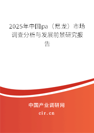 2025年中國pa（尼龍）市場調查分析與發展前景研究報告