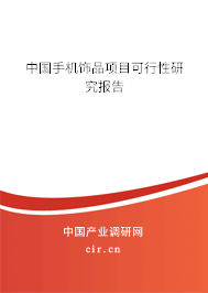 中國手機飾品項目可行性研究報告