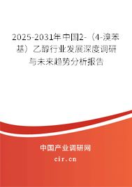 2025-2031年中國(guó)2-（4-溴苯基）乙醇行業(yè)發(fā)展深度調(diào)研與未來(lái)趨勢(shì)分析報(bào)告