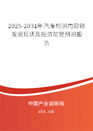 2025-2031年汽車檢測內窺鏡發展現狀及投資前景預測報告