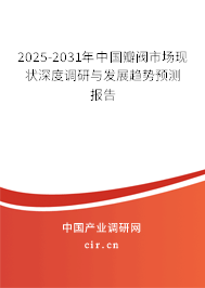 2024-2030年中國(guó)瓣閥市場(chǎng)現(xiàn)狀深度調(diào)研與發(fā)展趨勢(shì)預(yù)測(cè)報(bào)告