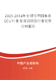 2025-2031年全球與中國車身ECU行業發展調研及行業前景分析報告