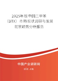 2025年版中國二甲苯（BTX）市場現狀調研與發展前景趨勢分析報告