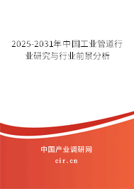 2025-2031年中國工業管道行業研究與行業前景分析
