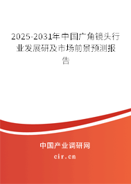 2025-2031年中國廣角鏡頭行業發展研及市場前景預測報告