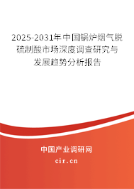 2025-2031年中國鍋爐煙氣脫硫制酸市場深度調查研究與發展趨勢分析報告