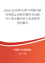 2024-2030年全球與中國IT服務管理工具的部署和咨詢服務行業全面調研與發展趨勢預測報告
