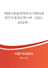 中國IT基礎架構外包市場調查研究與發展前景分析（2025-2031年）