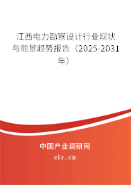 江西電力勘察設(shè)計行業(yè)現(xiàn)狀與前景趨勢報告（2025-2031年）